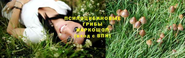экстази Ельня