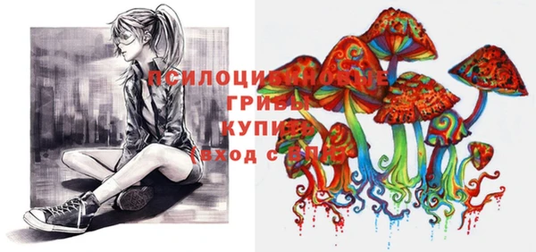 прущая мука Елабуга