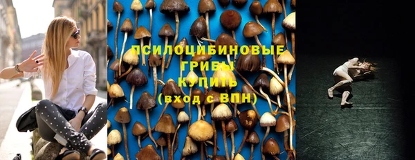 дурь Елизово