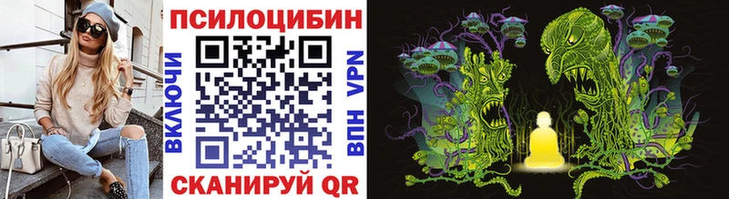Галлюциногенные грибы Psilocybe  Купить закладки  Качканар 